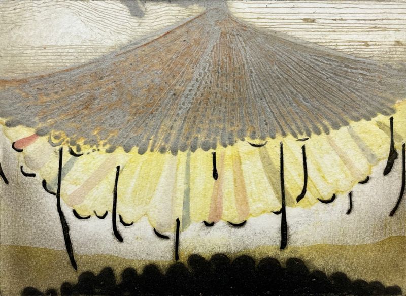 Katherine Jones, Vanilla Marigold